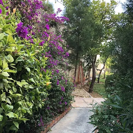 Kantara Sweet Apartament *